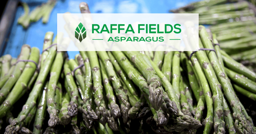 Raffa Case Study