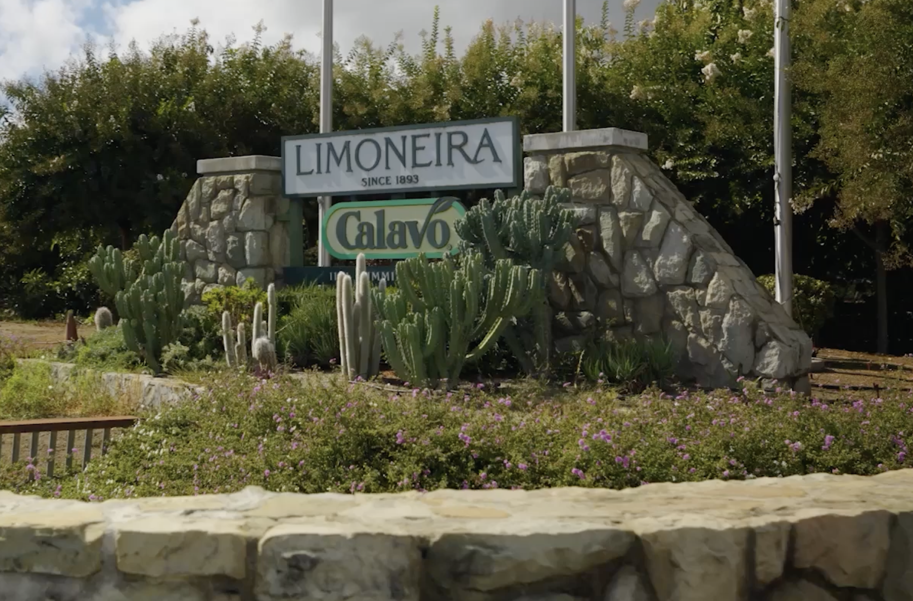 Screenshot 2026-01-21 at 2.28.18 PM