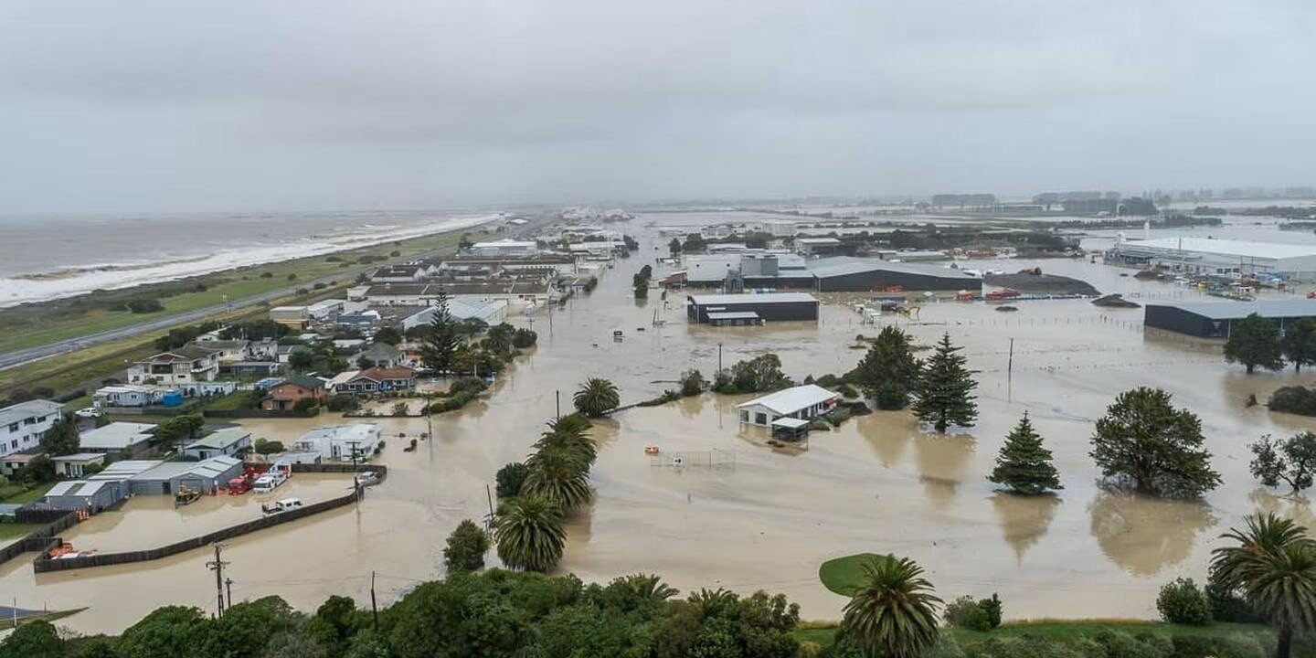 Kiwi Resilience