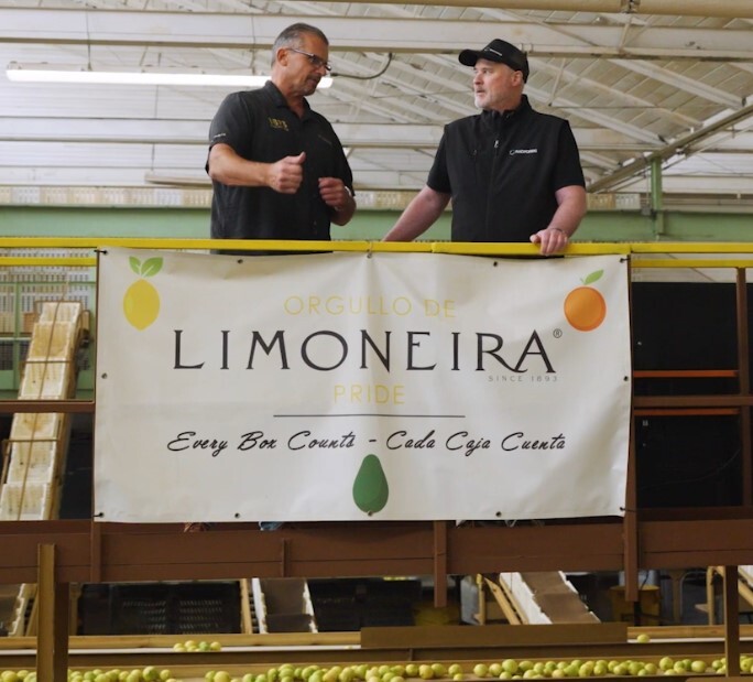 Lim Colour sorting shot