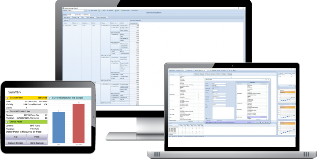 Pack | Radford Software